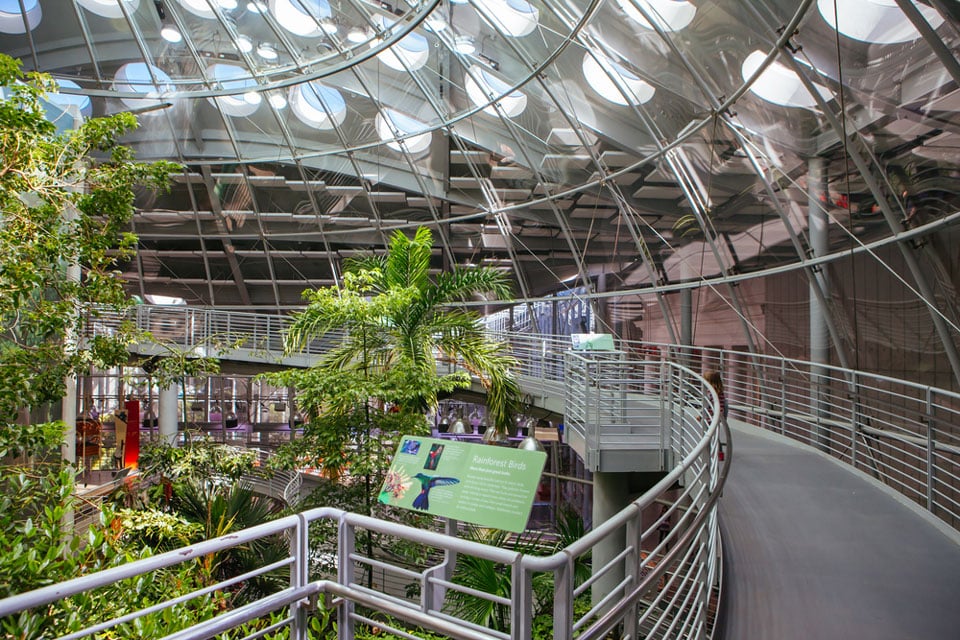 California Academy Of Sciences, San Francisco