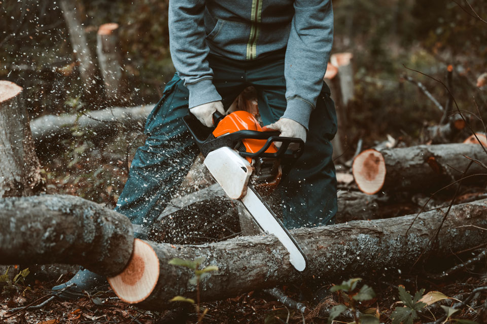 Logging Workers