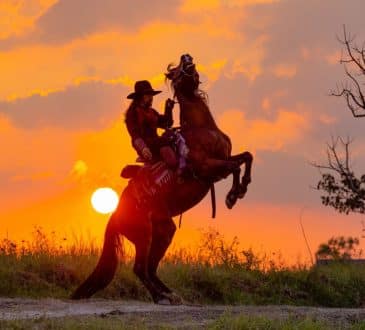 Western cowboys